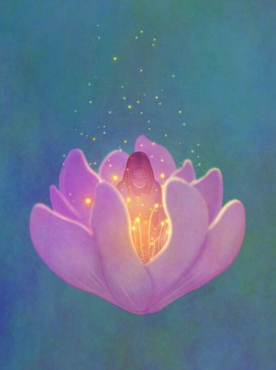 Egyptian flower tincture