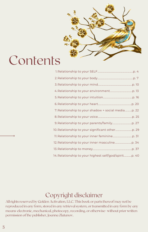 Soulutionary: 14 day Relationship Guide