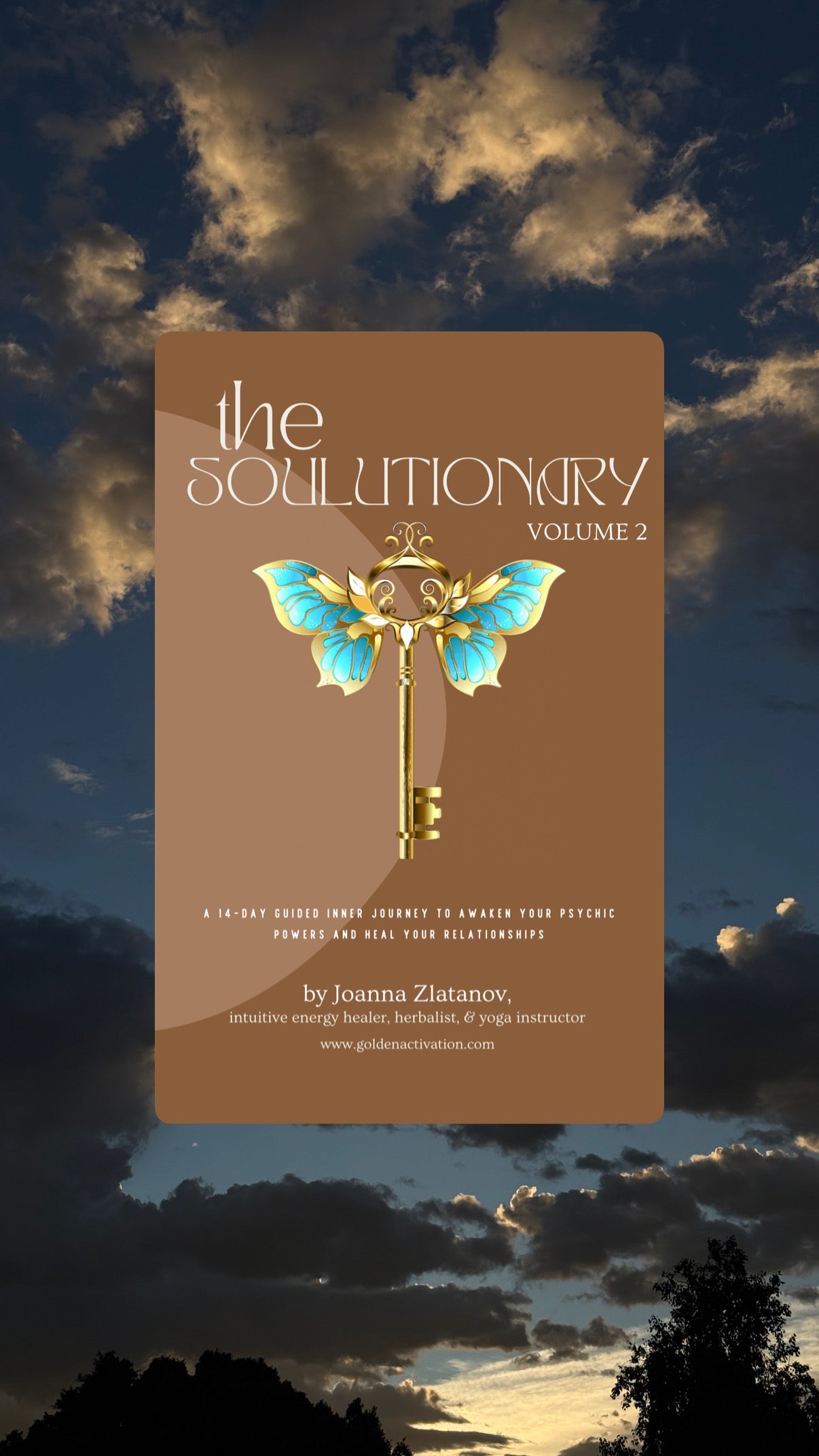 Soulutionary 2.0 Relationship Guide