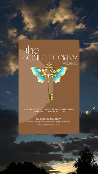 Soulutionary 2.0 Relationship Guide