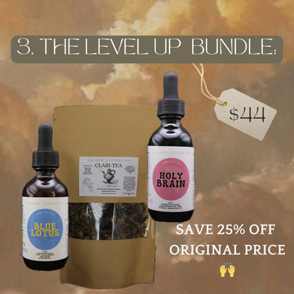 The Level-Up Bundle